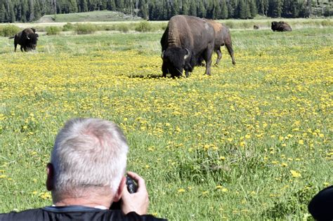 The U.S. national park system gets a $100 million grant, the.